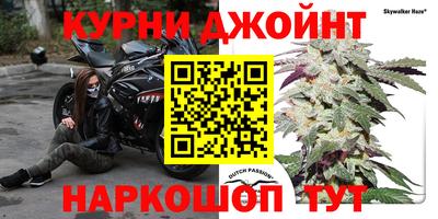 гашик Краснознаменск