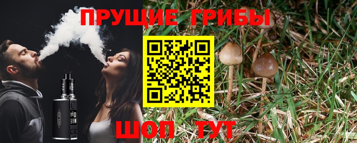 Урус-Мартан  Галлюциногенные грибы ЛСД  Галлюциногенные грибы Psilocybine cubensis  Вход с VPN 